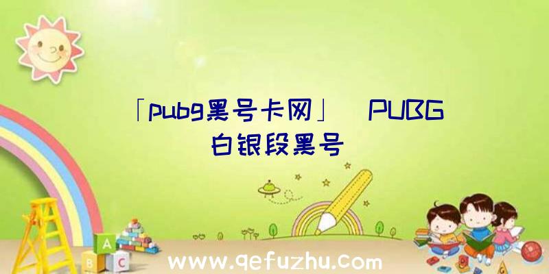 「pubg黑号卡网」|PUBG白银段黑号